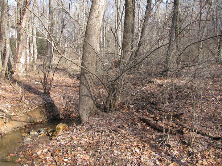 Field photo showing stream conditions at site JONE-109-S-2011-1