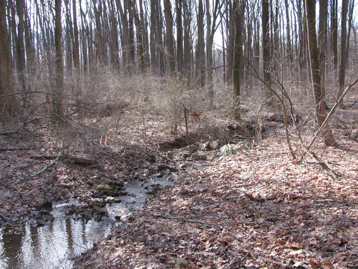 Field photo showing stream conditions at site JONE-109-S-2011-2
