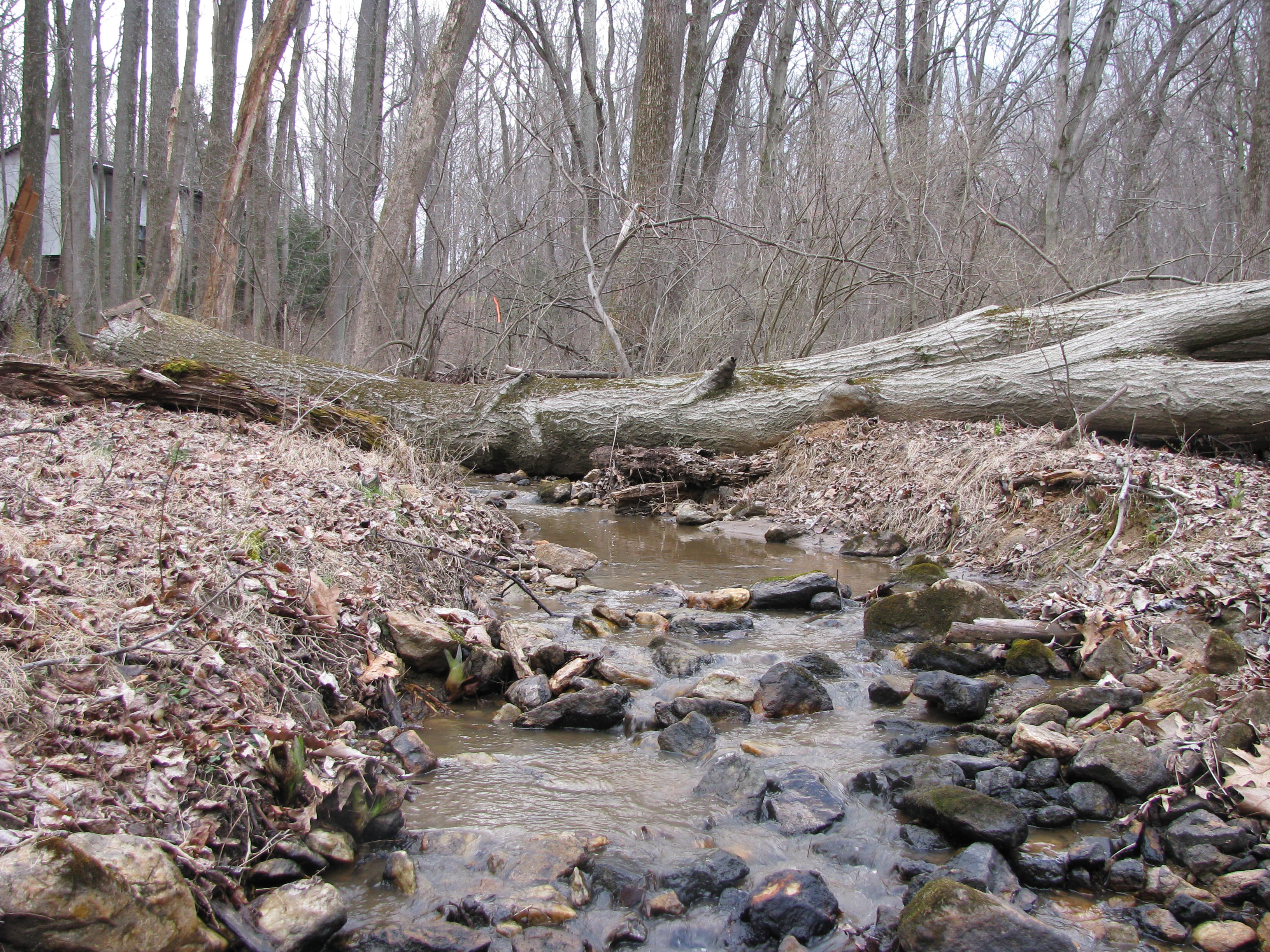 Field photo showing stream conditions at site JONE-109-S-2012-1
