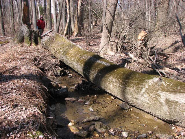 Field photo showing stream conditions at site JONE-109-S-2013-1