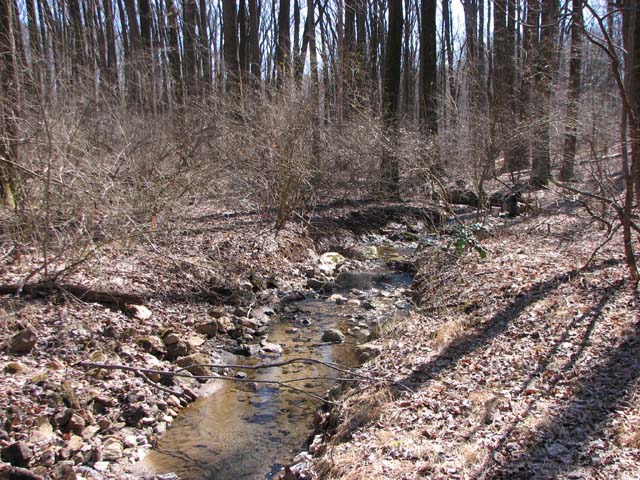 Field photo showing stream conditions at site JONE-109-S-2013-2