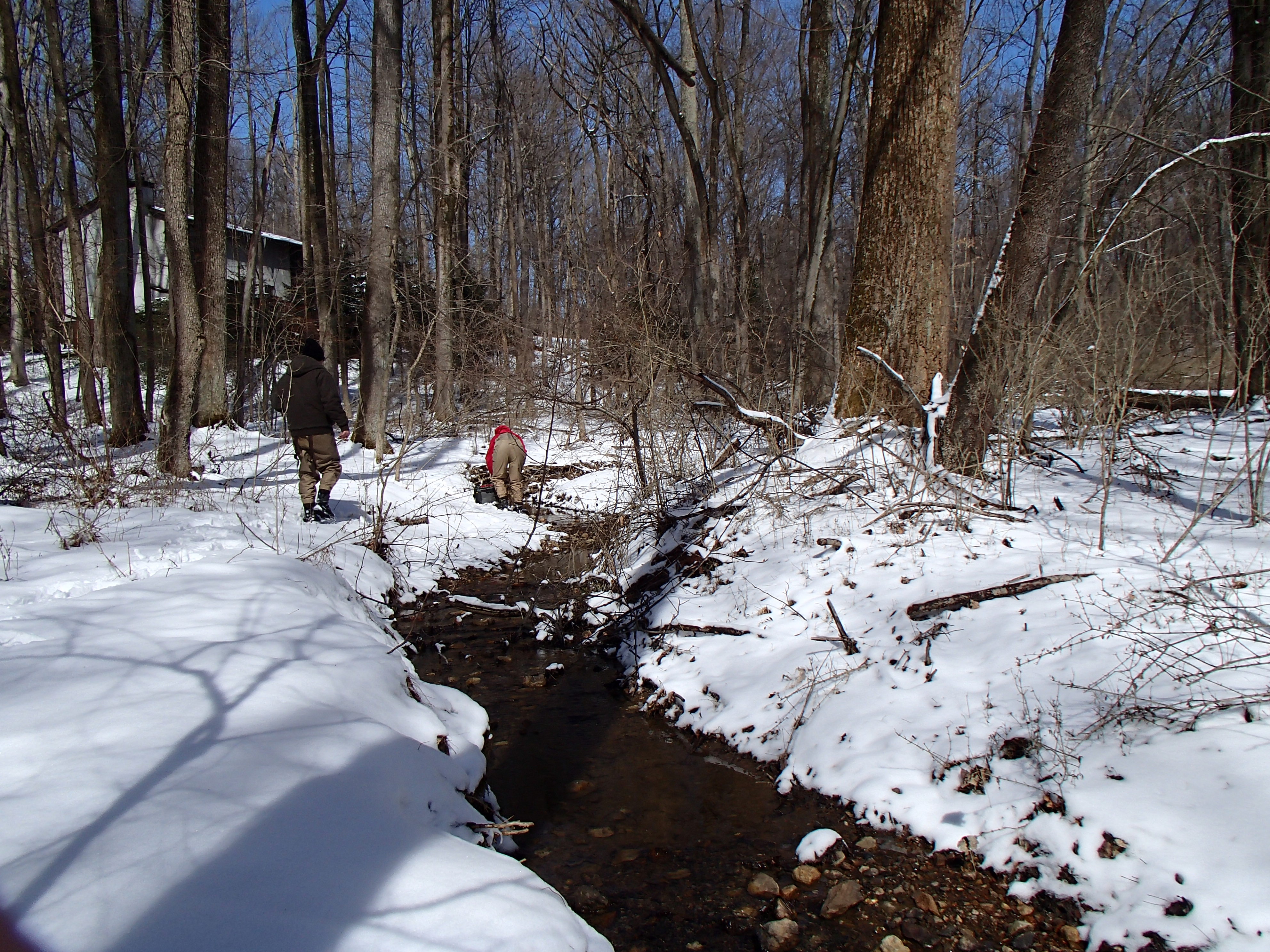 Field photo showing stream conditions at site JONE-109-S-2014-1