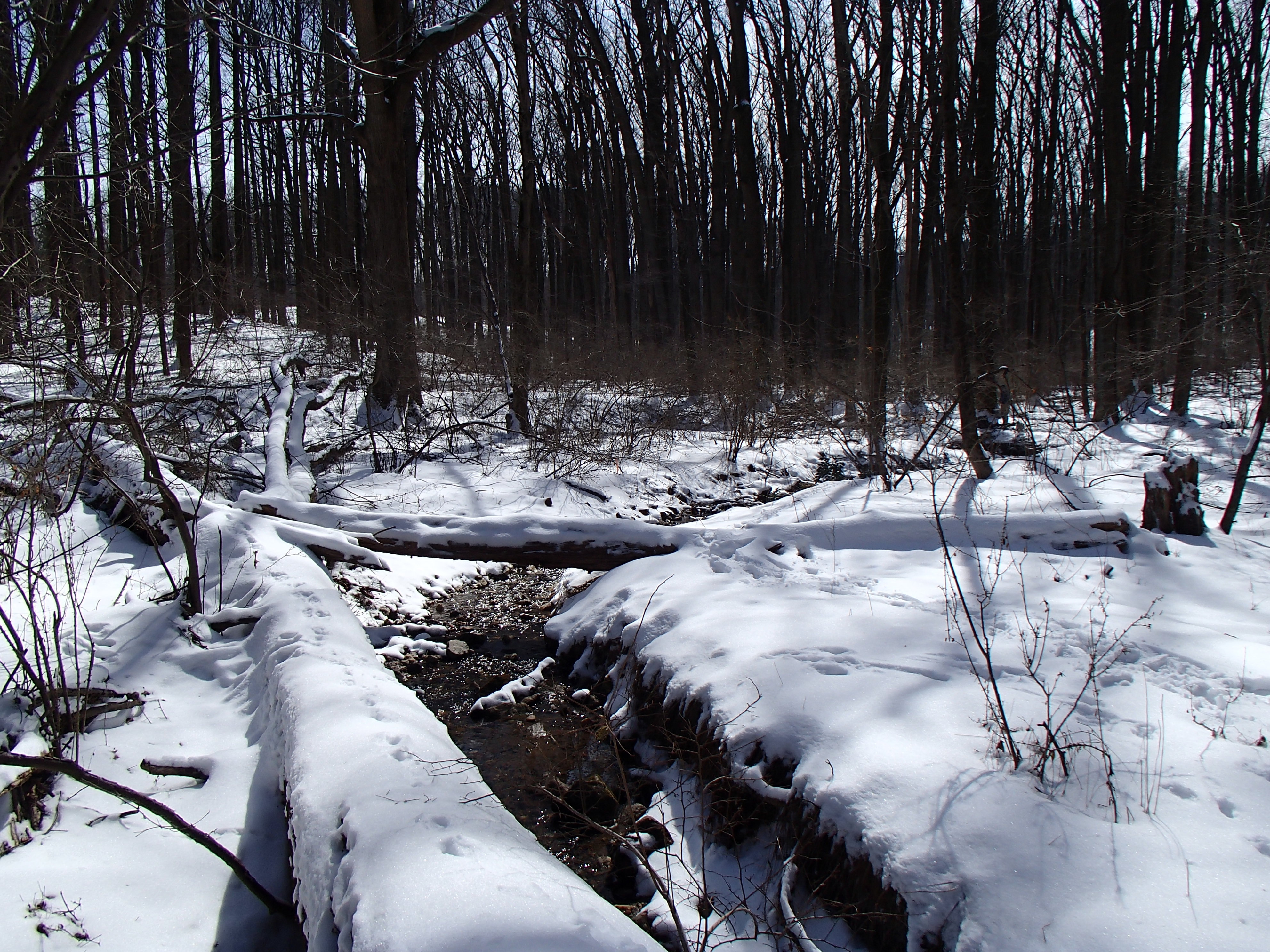 Field photo showing stream conditions at site JONE-109-S-2014-2