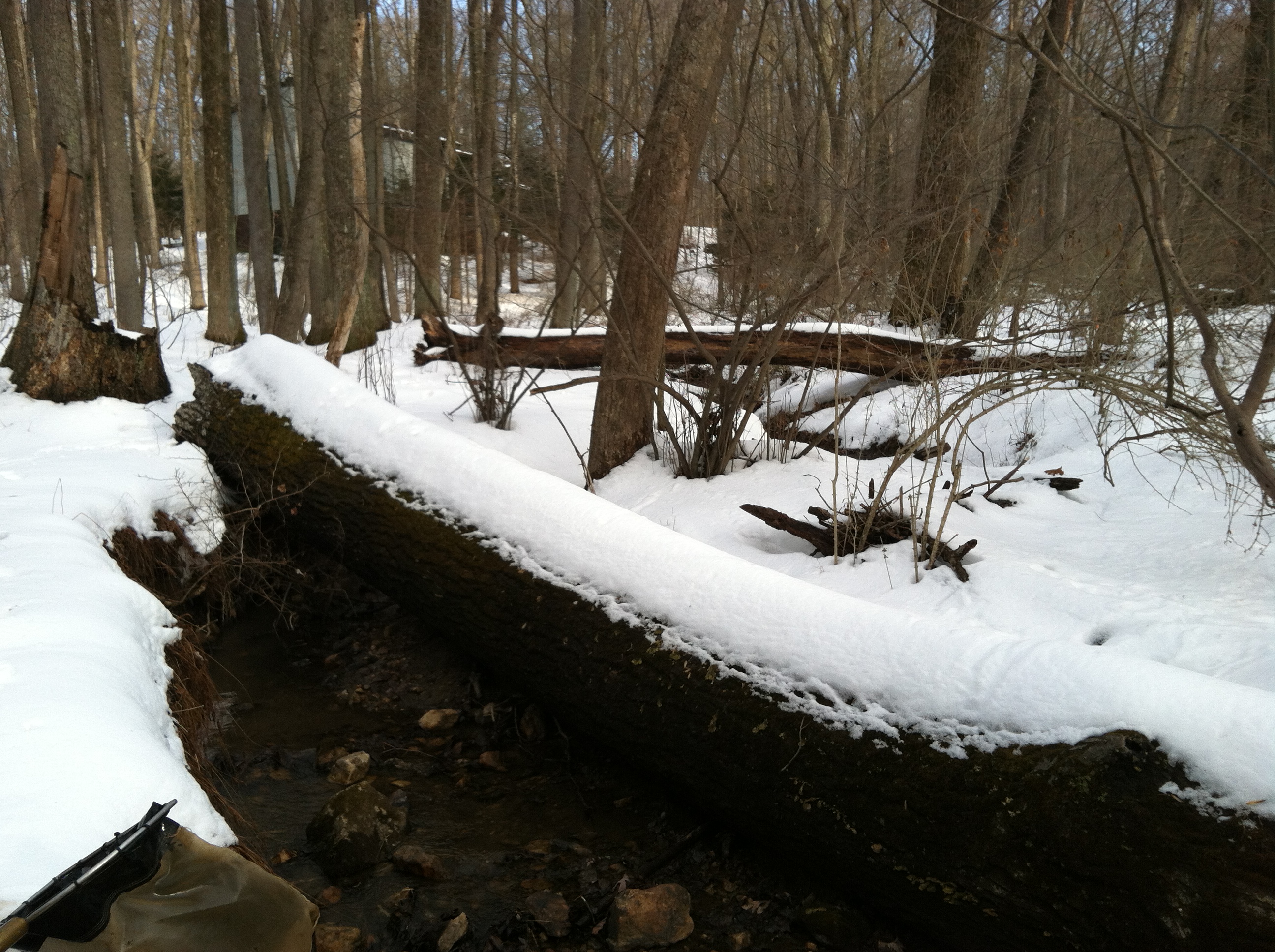 Field photo showing stream conditions at site JONE-109-S-2015-1