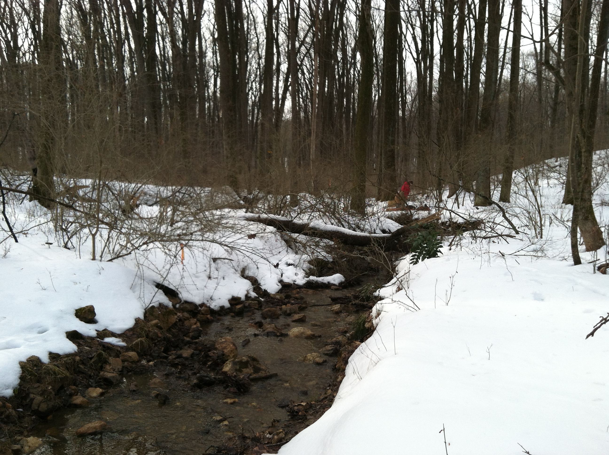 Field photo showing stream conditions at site JONE-109-S-2015-2