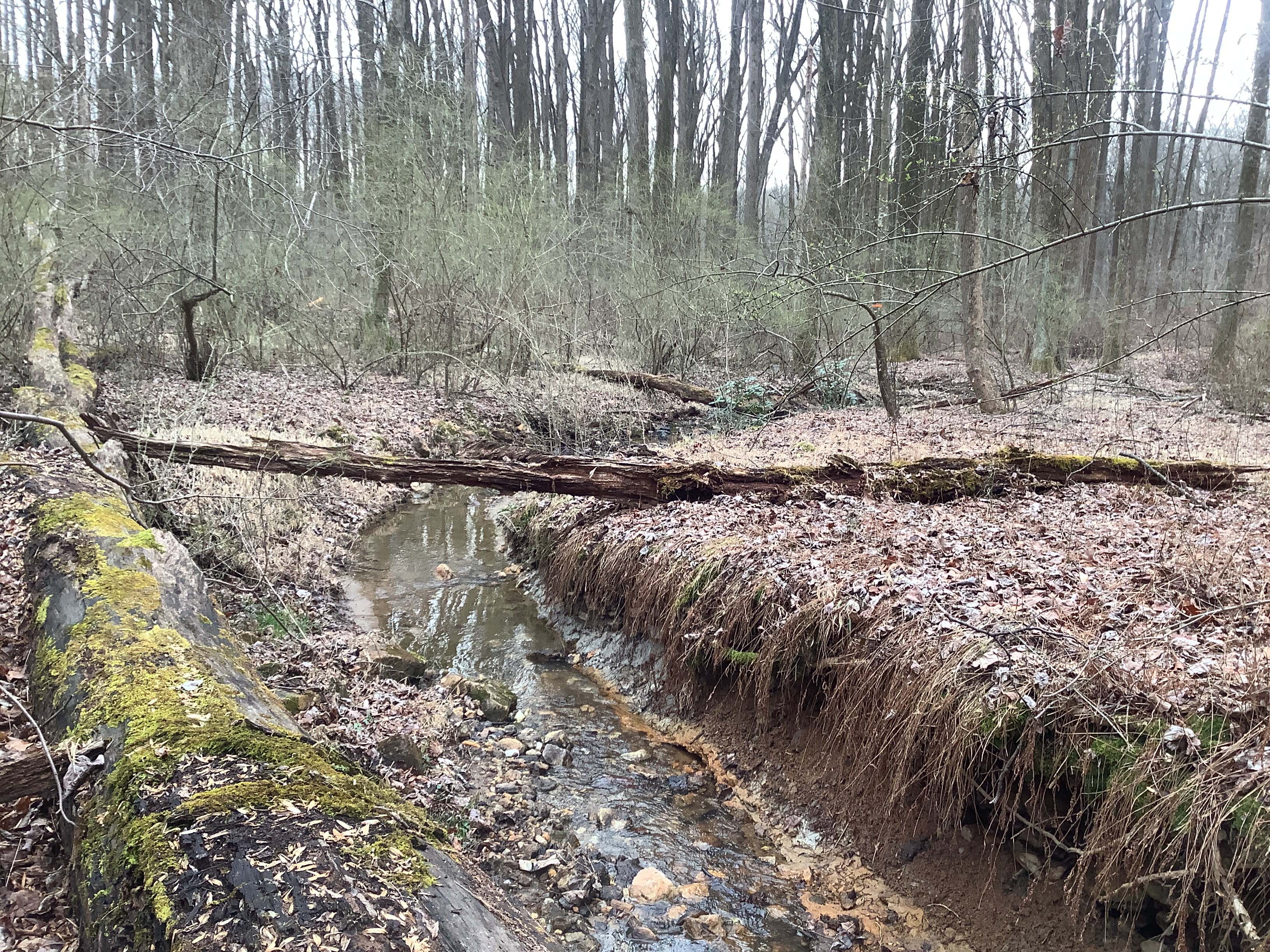 Field photo showing stream conditions at site JONE-109-S-2023_Midpoint_facing_downstream