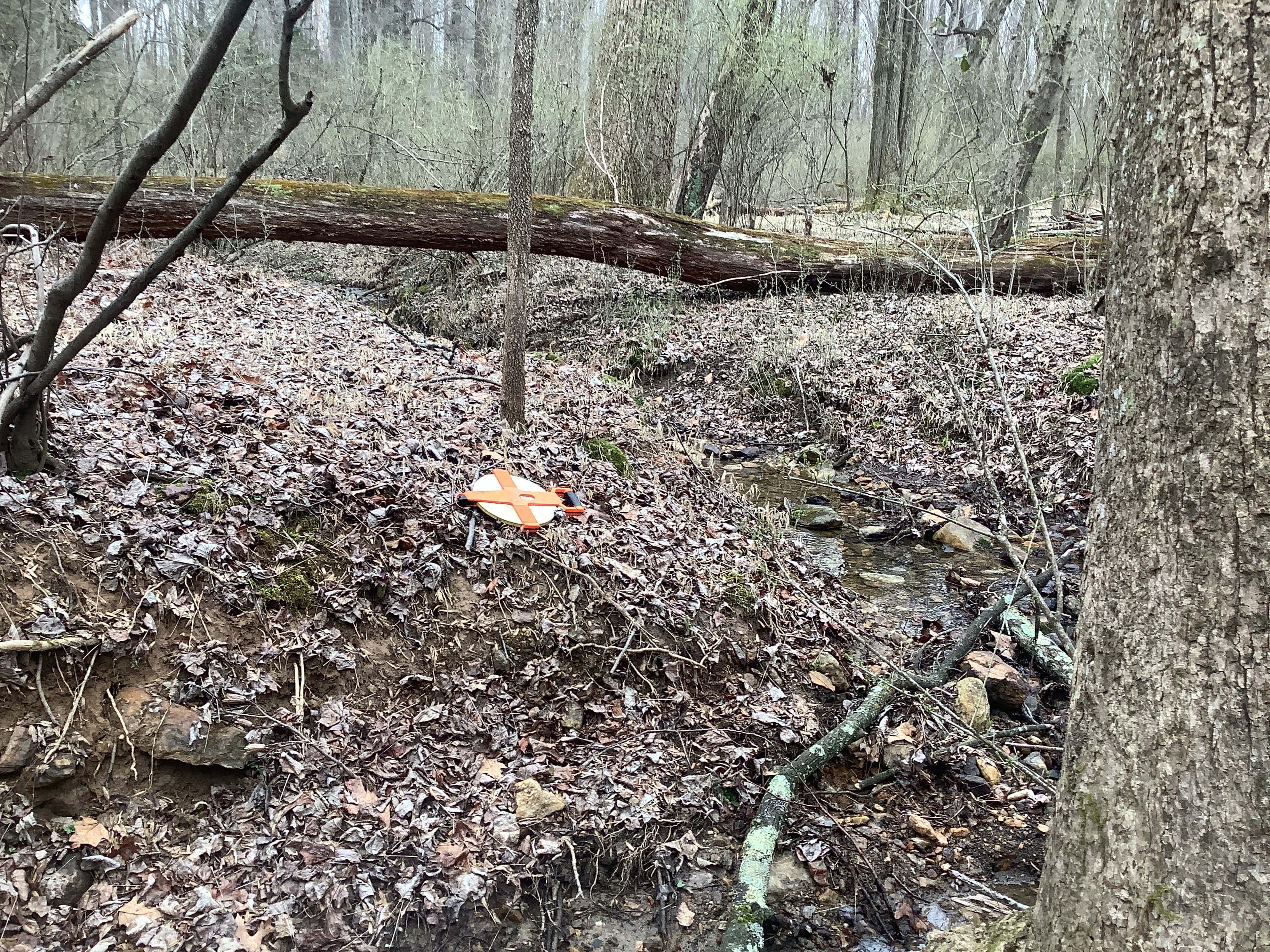 Field photo showing stream conditions at site JONE-109-S-2023_Midpoint_facing_upstream