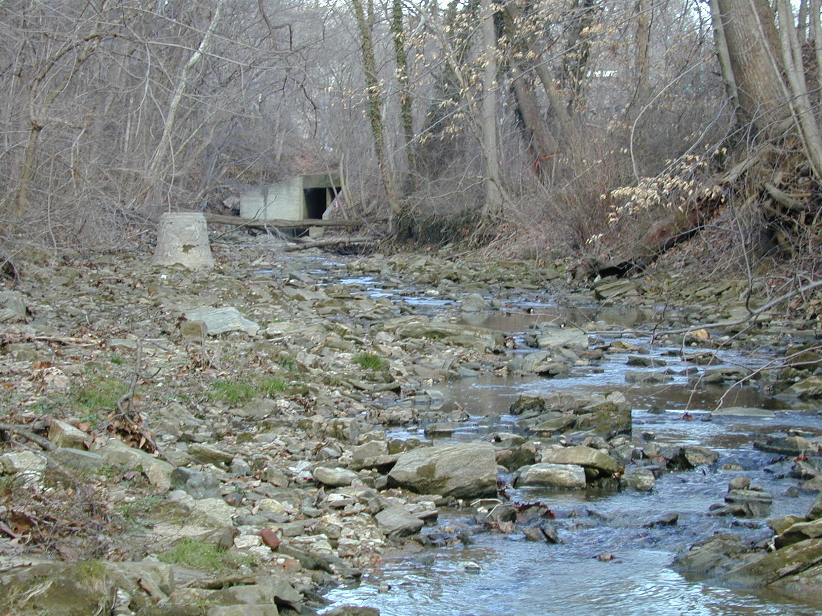 Field photo showing stream conditions at site JONE-110-R-2002-341