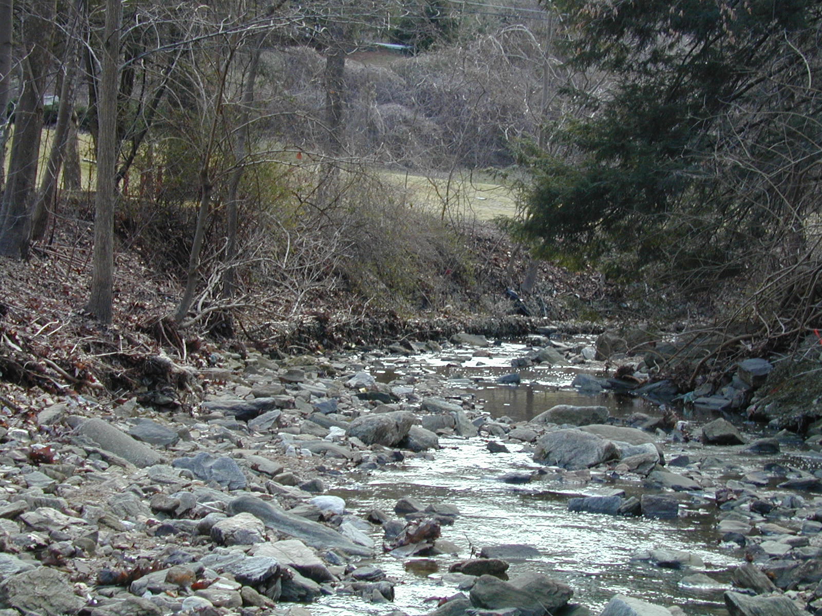 Field photo showing stream conditions at site JONE-110-R-2002-342