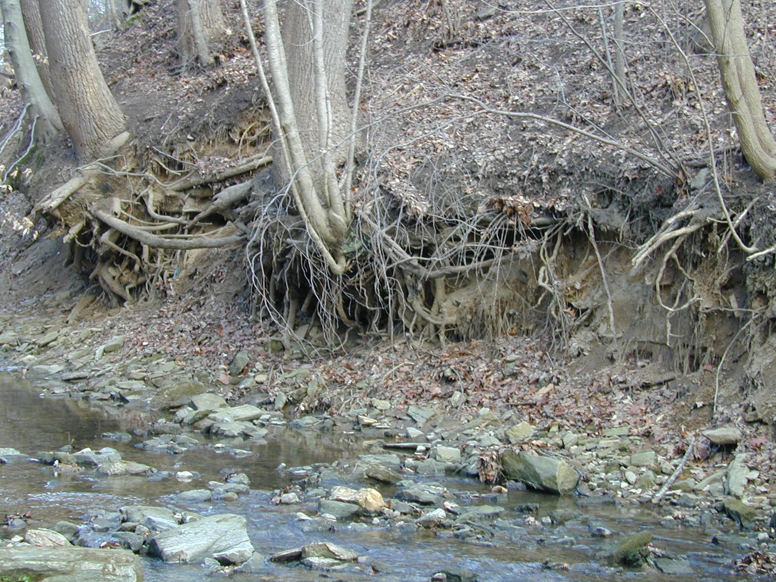 Field photo showing stream conditions at site JONE-110-R-2002-343