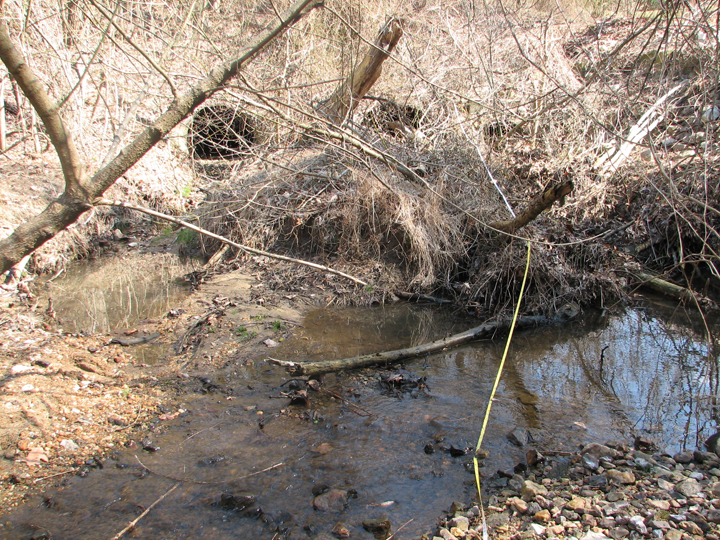 Field photo showing stream conditions at site JONE-112-R-2008-1