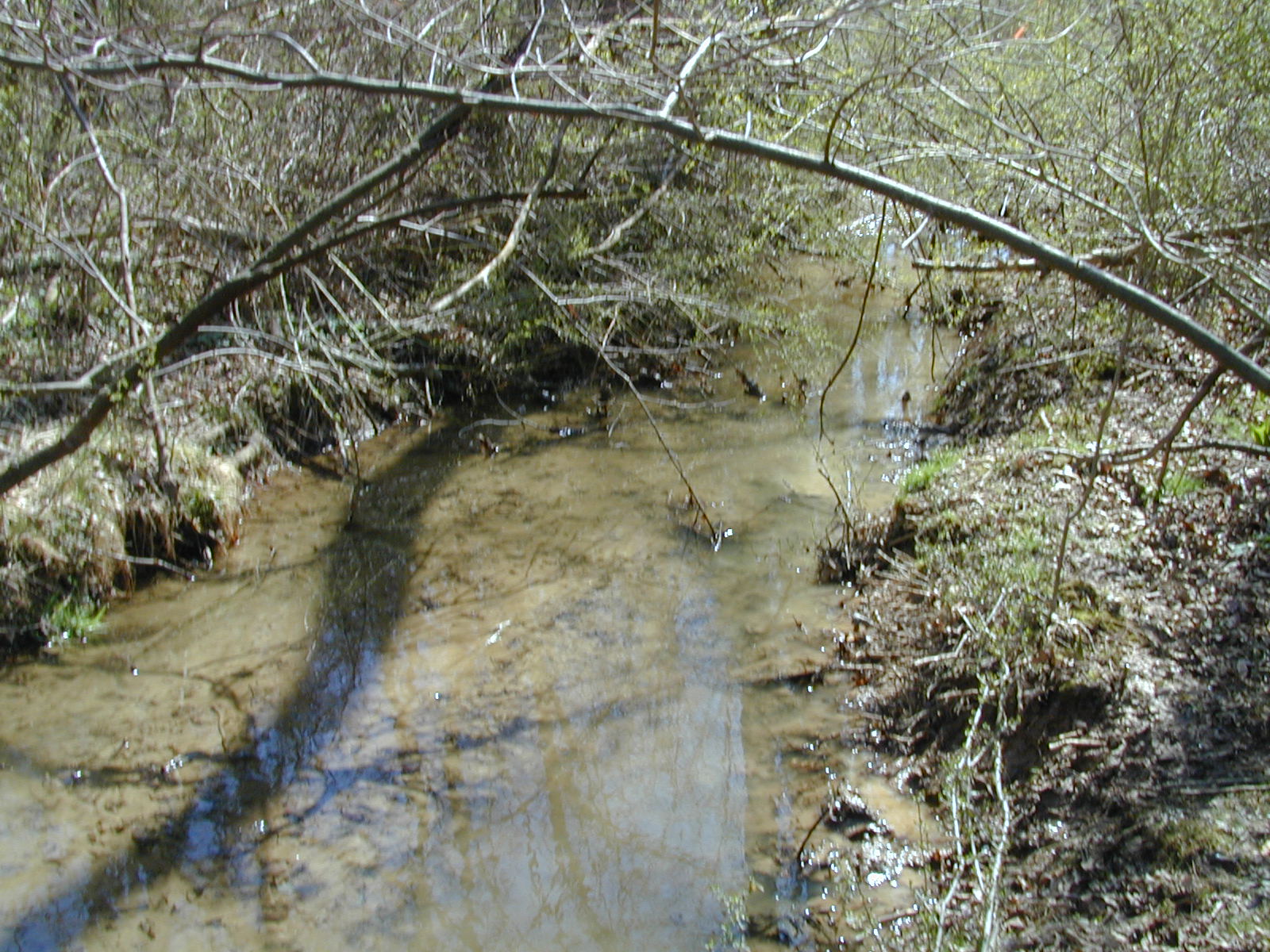 Field photo showing stream conditions at site JONE-204-R-2002-476
