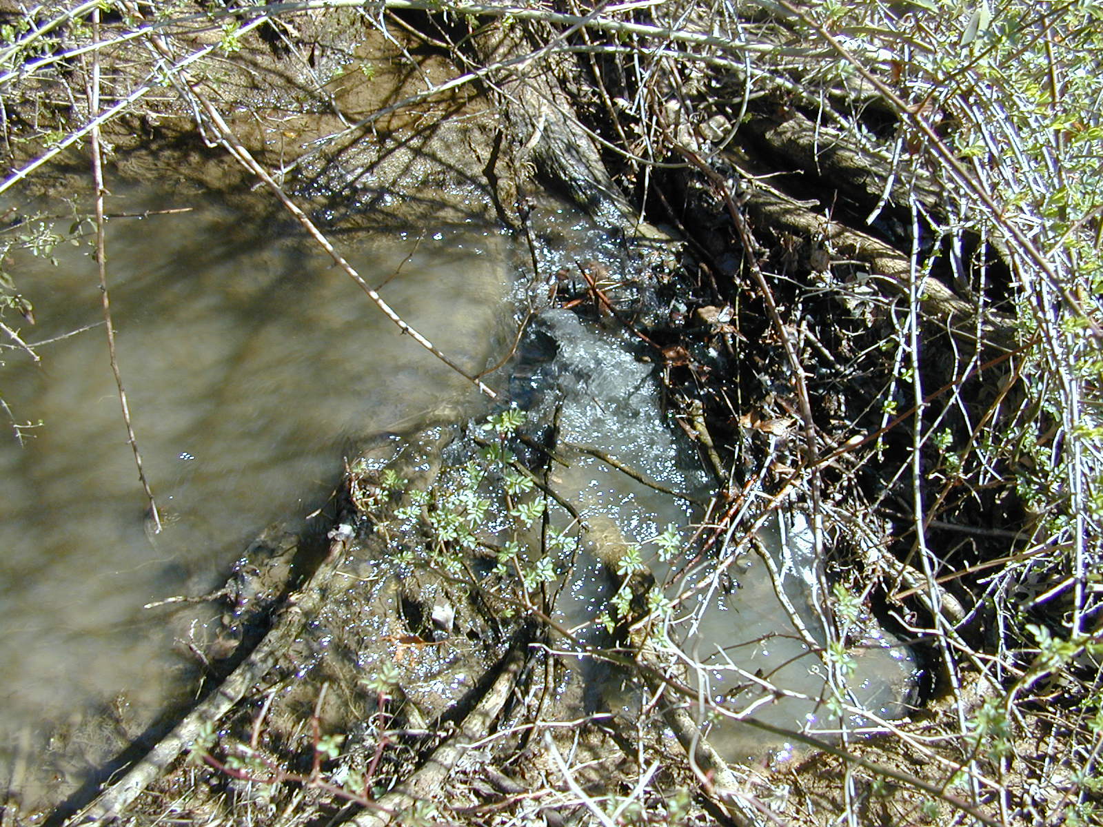 Field photo showing stream conditions at site JONE-204-R-2002-477
