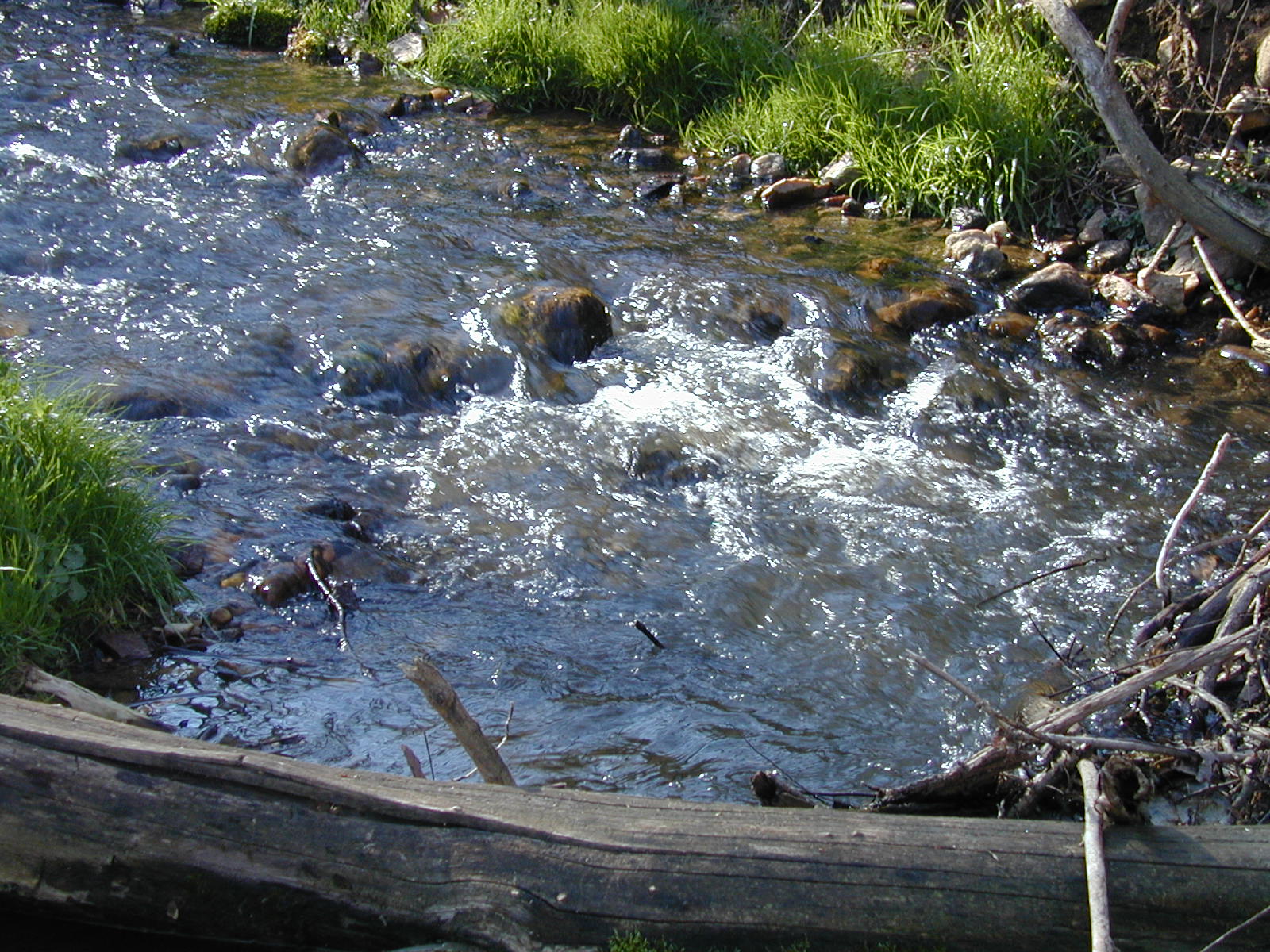 Field photo showing stream conditions at site JONE-213-R-2002-482