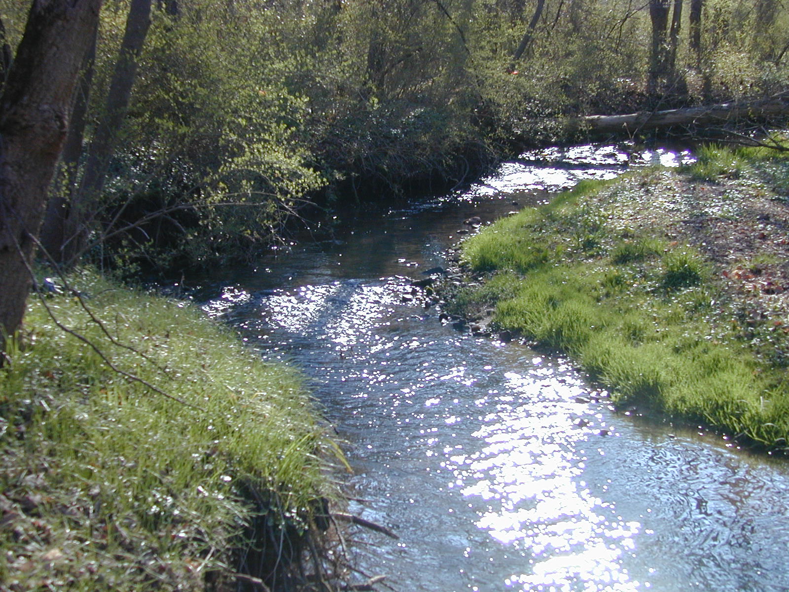 Field photo showing stream conditions at site JONE-213-R-2002-483