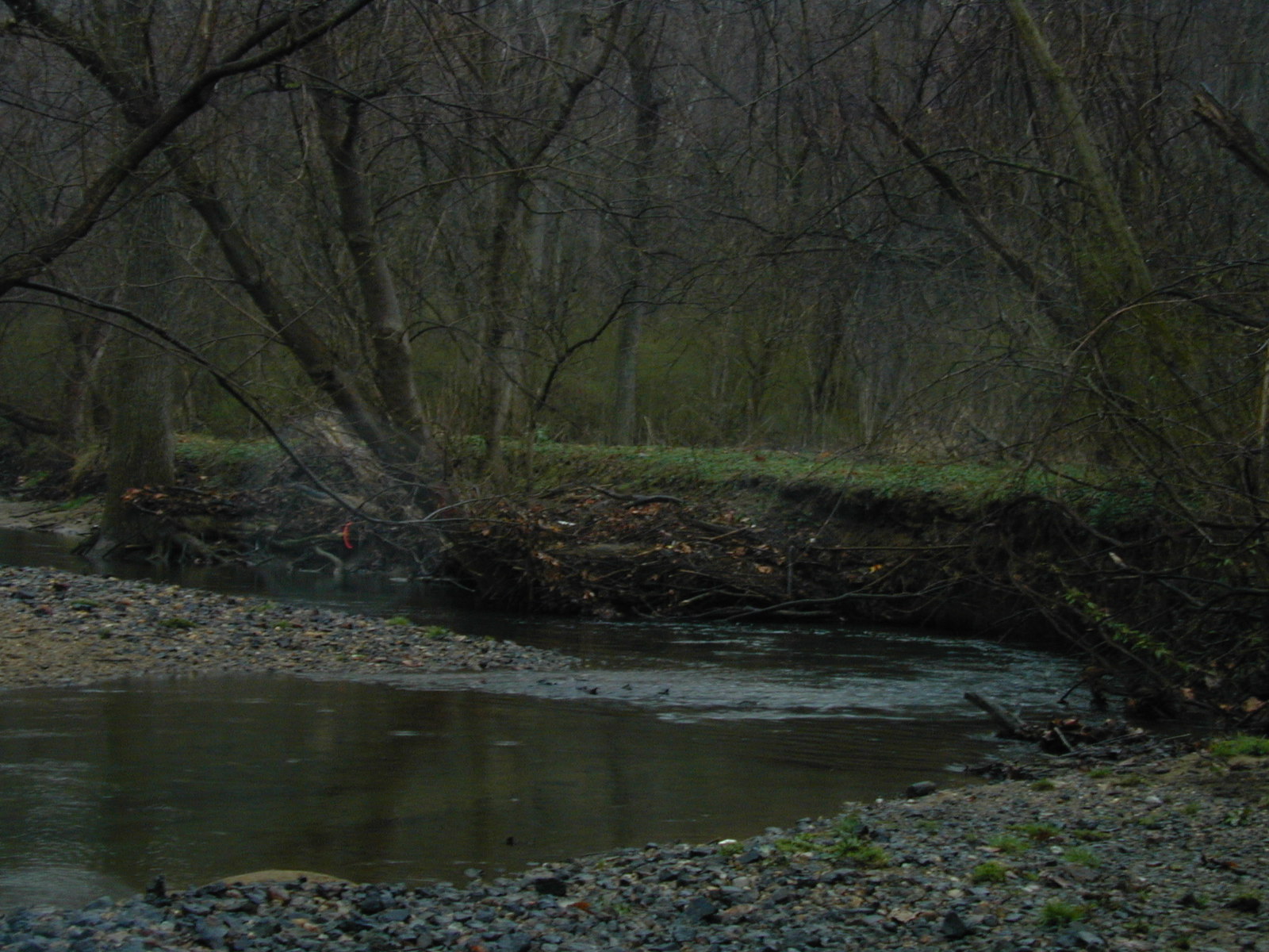 Field photo showing stream conditions at site JONE-303-R-2002-469