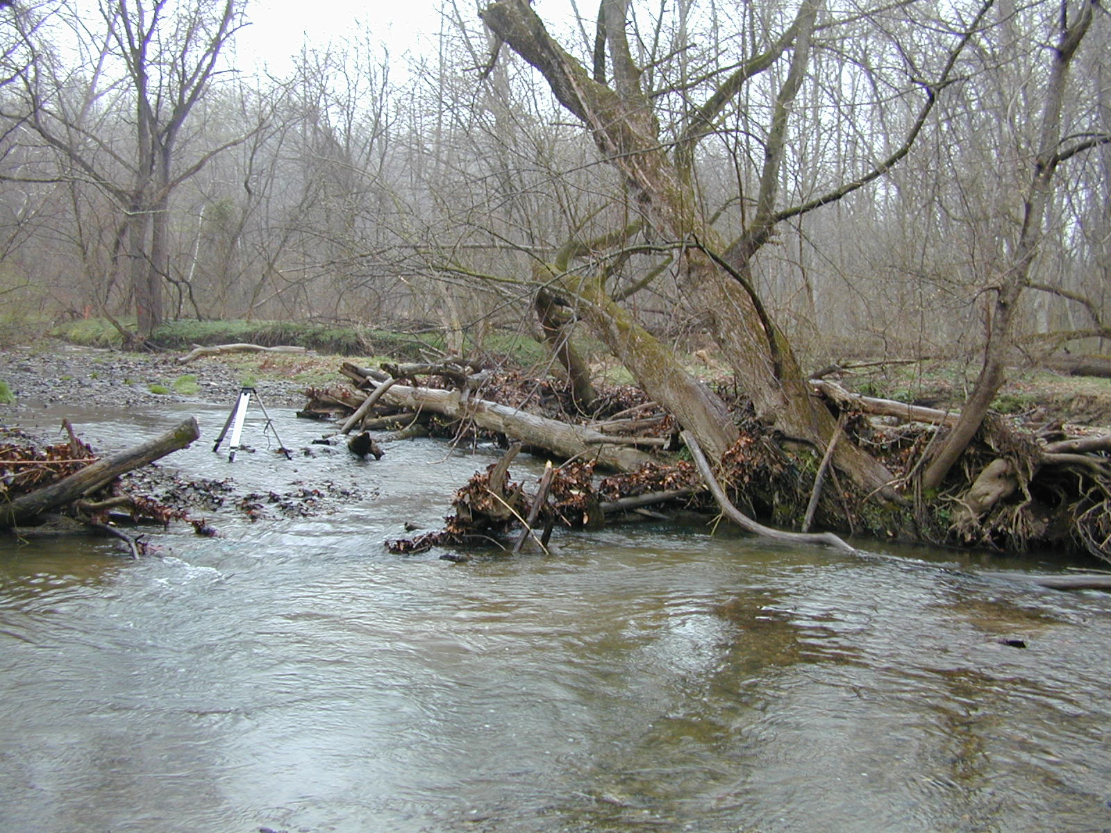 Field photo showing stream conditions at site JONE-303-R-2002-470