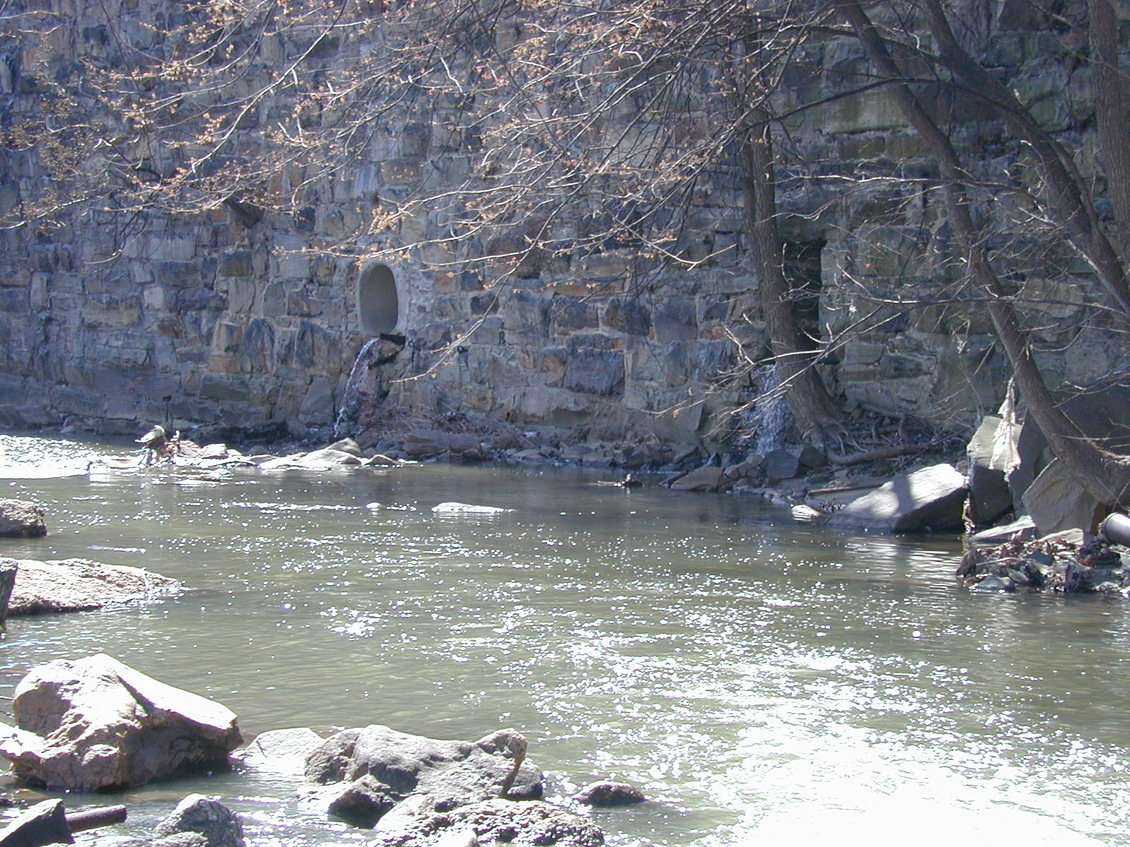 Field photo showing stream conditions at site JONE-312-R-2002-339