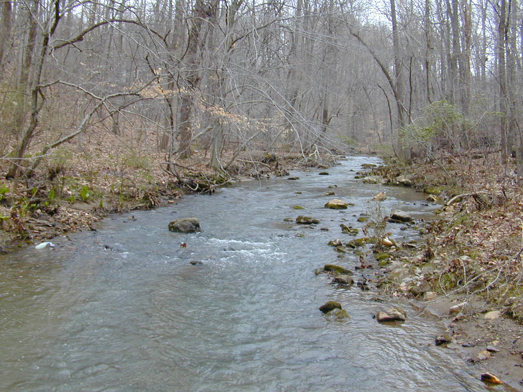 Field photo showing stream conditions at site JONE-315-S-2000-01