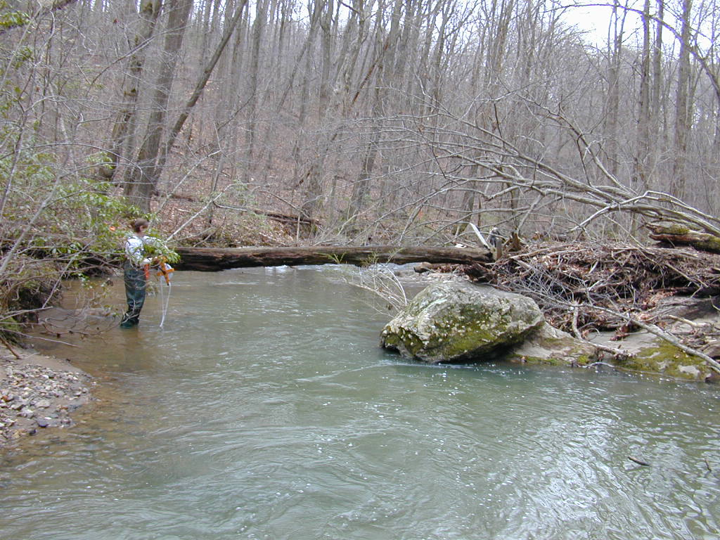 Field photo showing stream conditions at site JONE-315-S-2000-02