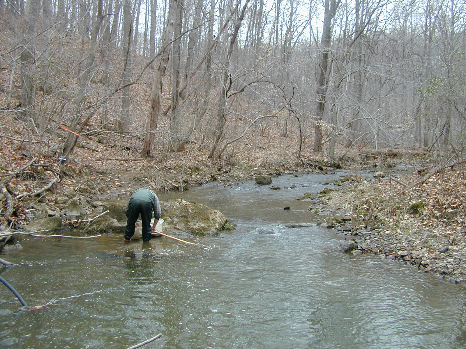 Field photo showing stream conditions at site JONE-315-S-2001-1