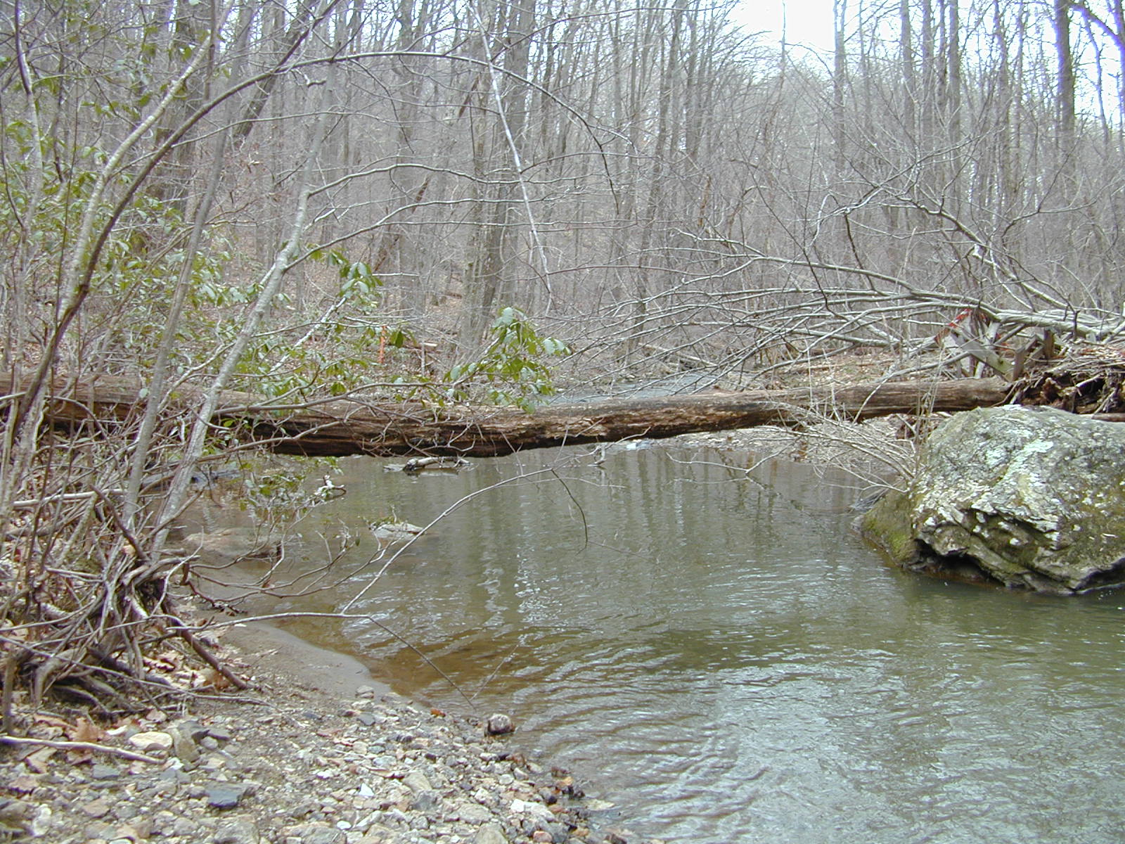 Field photo showing stream conditions at site JONE-315-S-2001-2