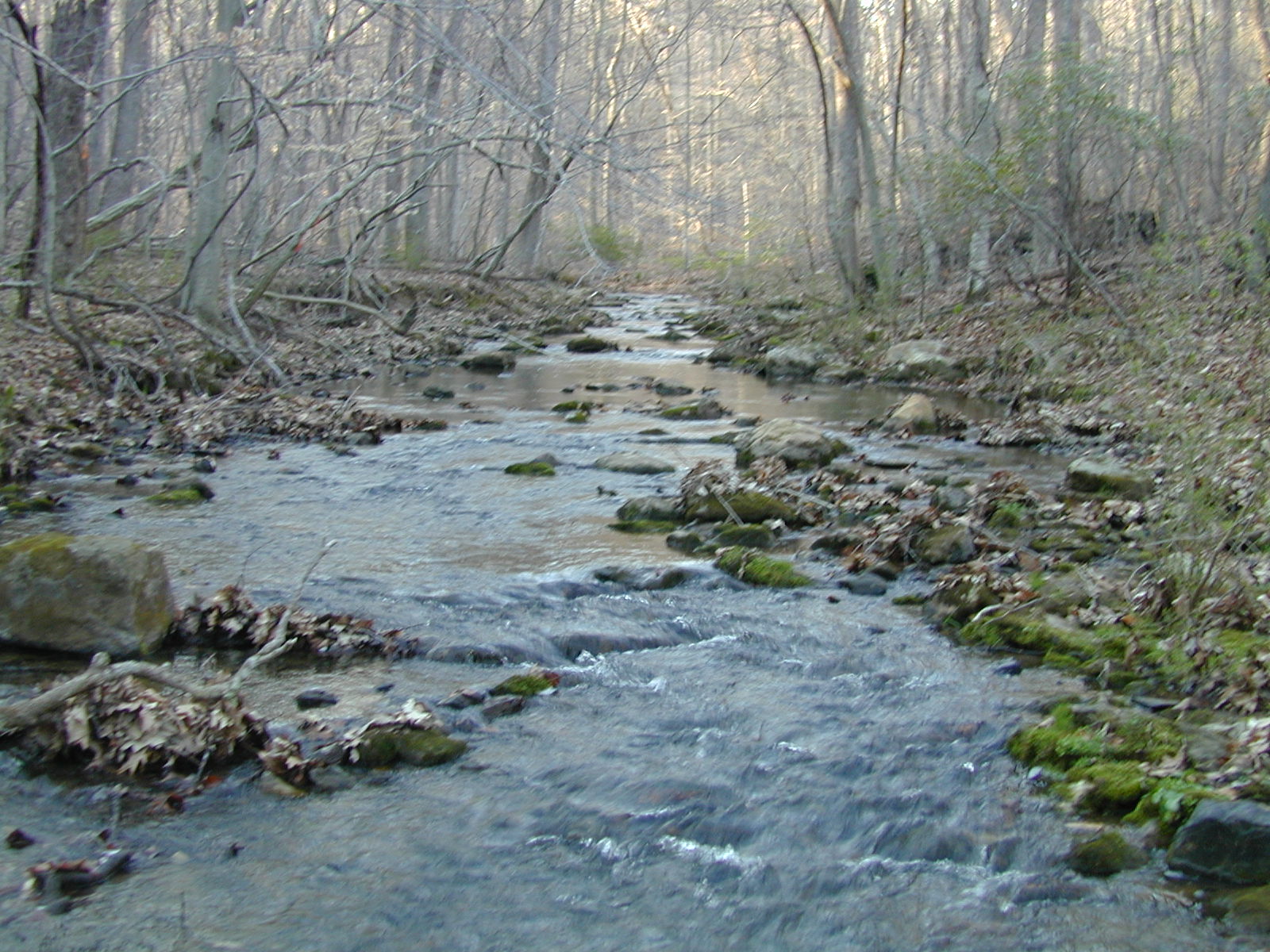 Field photo showing stream conditions at site JONE-315-S-2002-486