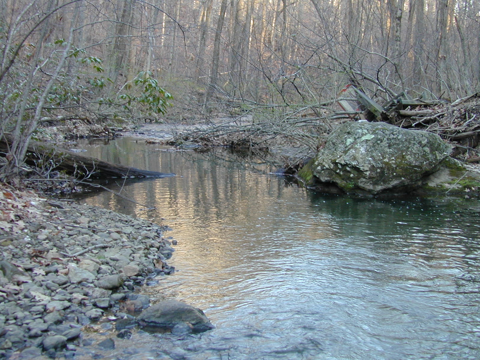 Field photo showing stream conditions at site JONE-315-S-2002-487