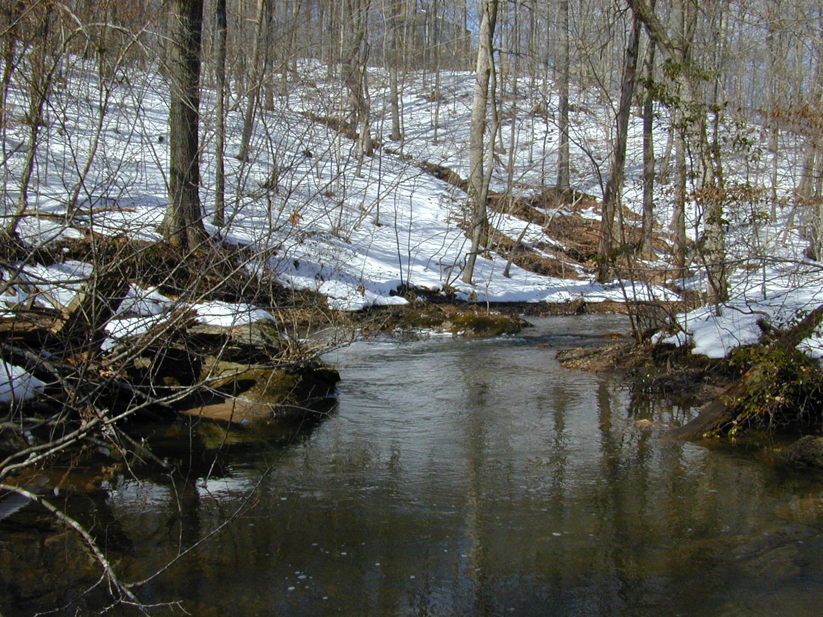 Field photo showing stream conditions at site JONE-315-S-2003-2