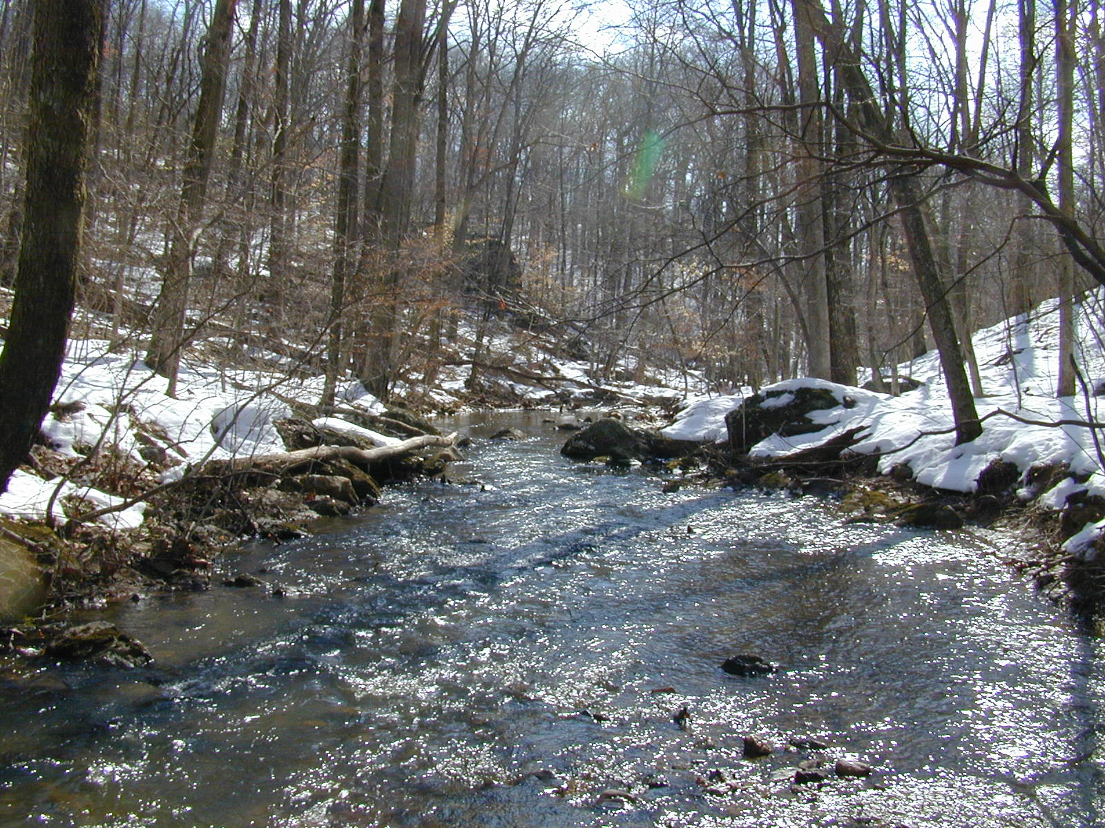 Field photo showing stream conditions at site JONE-315-S-2003-3