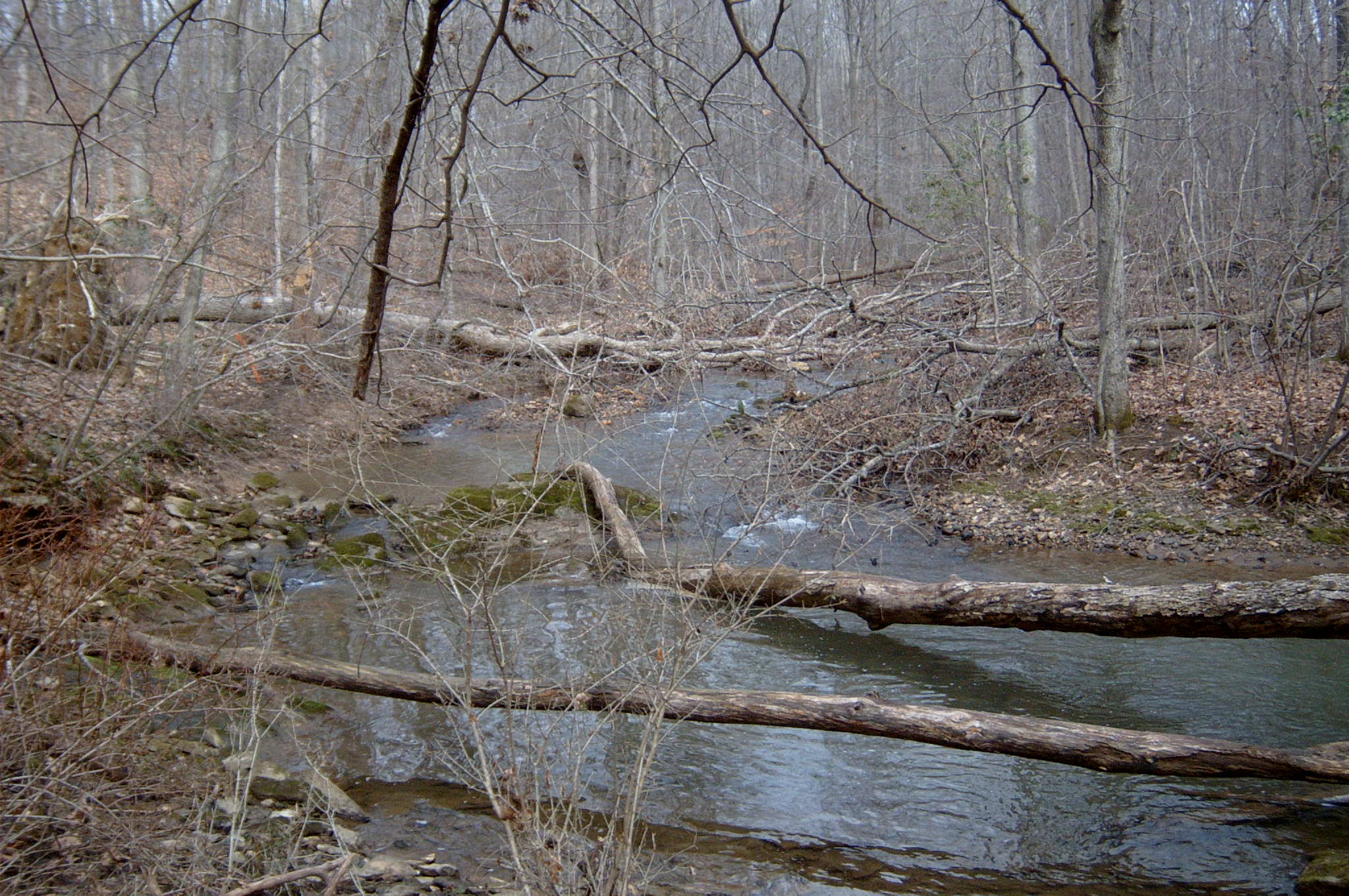 Field photo showing stream conditions at site JONE-315-S-2004-130