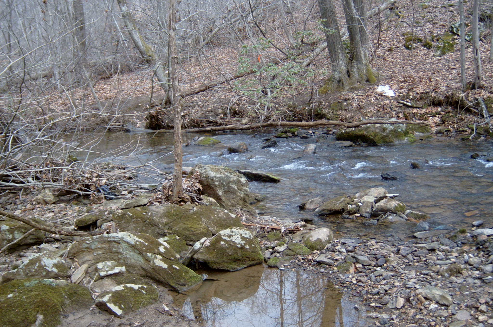 Field photo showing stream conditions at site JONE-315-S-2004-131