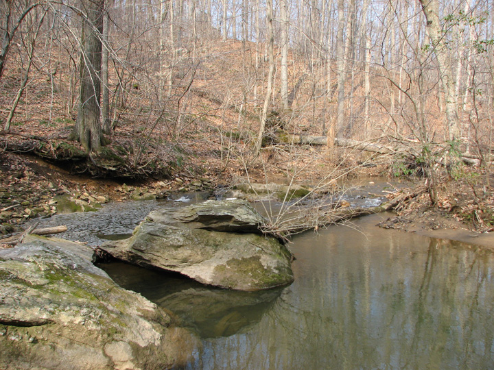 Field photo showing stream conditions at site JONE-315-S-2007-2