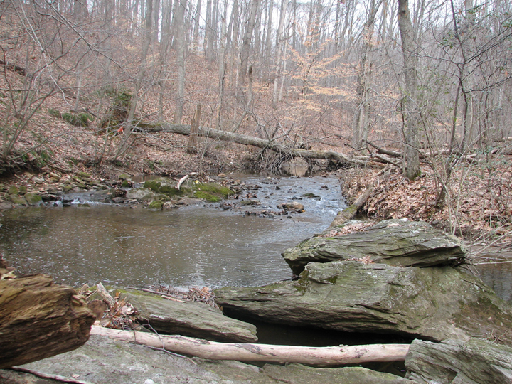 Field photo showing stream conditions at site JONE-315-S-2008-1
