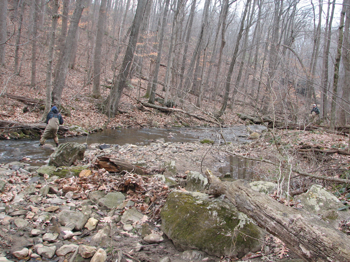 Field photo showing stream conditions at site JONE-315-S-2008-2
