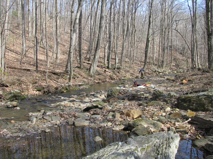 Field photo showing stream conditions at site JONE-315-S-2009-1
