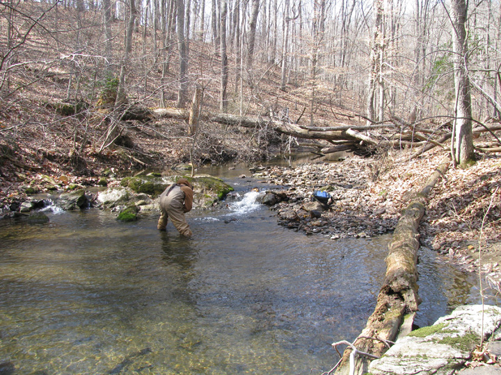 Field photo showing stream conditions at site JONE-315-S-2009-2