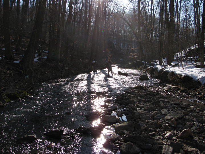 Field photo showing stream conditions at site JONE-315-S-2010-1
