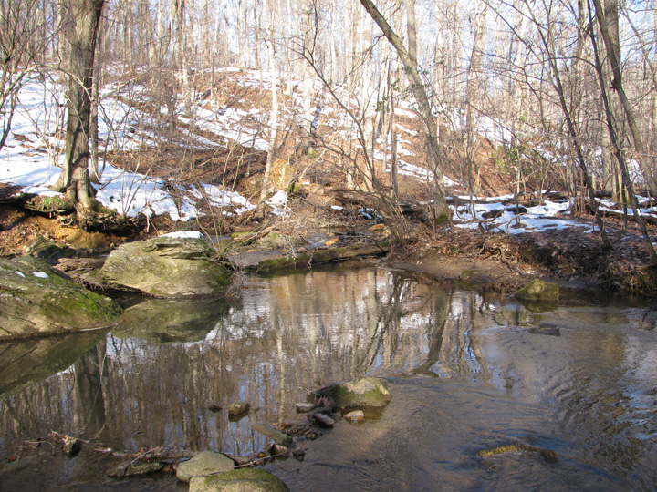 Field photo showing stream conditions at site JONE-315-S-2010-2