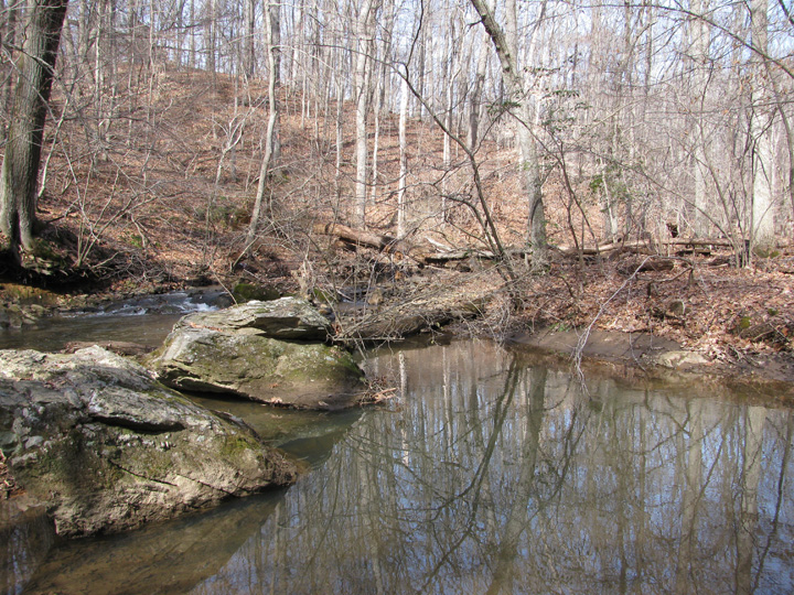 Field photo showing stream conditions at site JONE-315-S-2011-1
