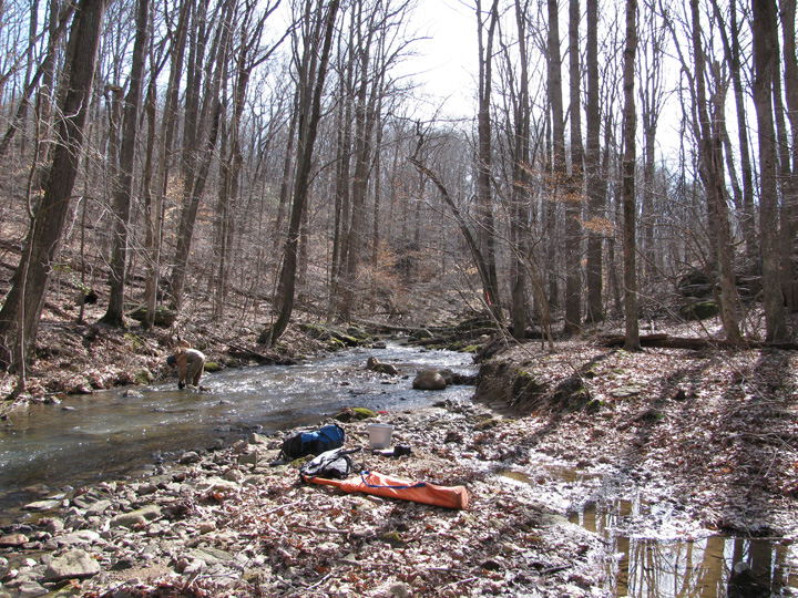 Field photo showing stream conditions at site JONE-315-S-2011-2