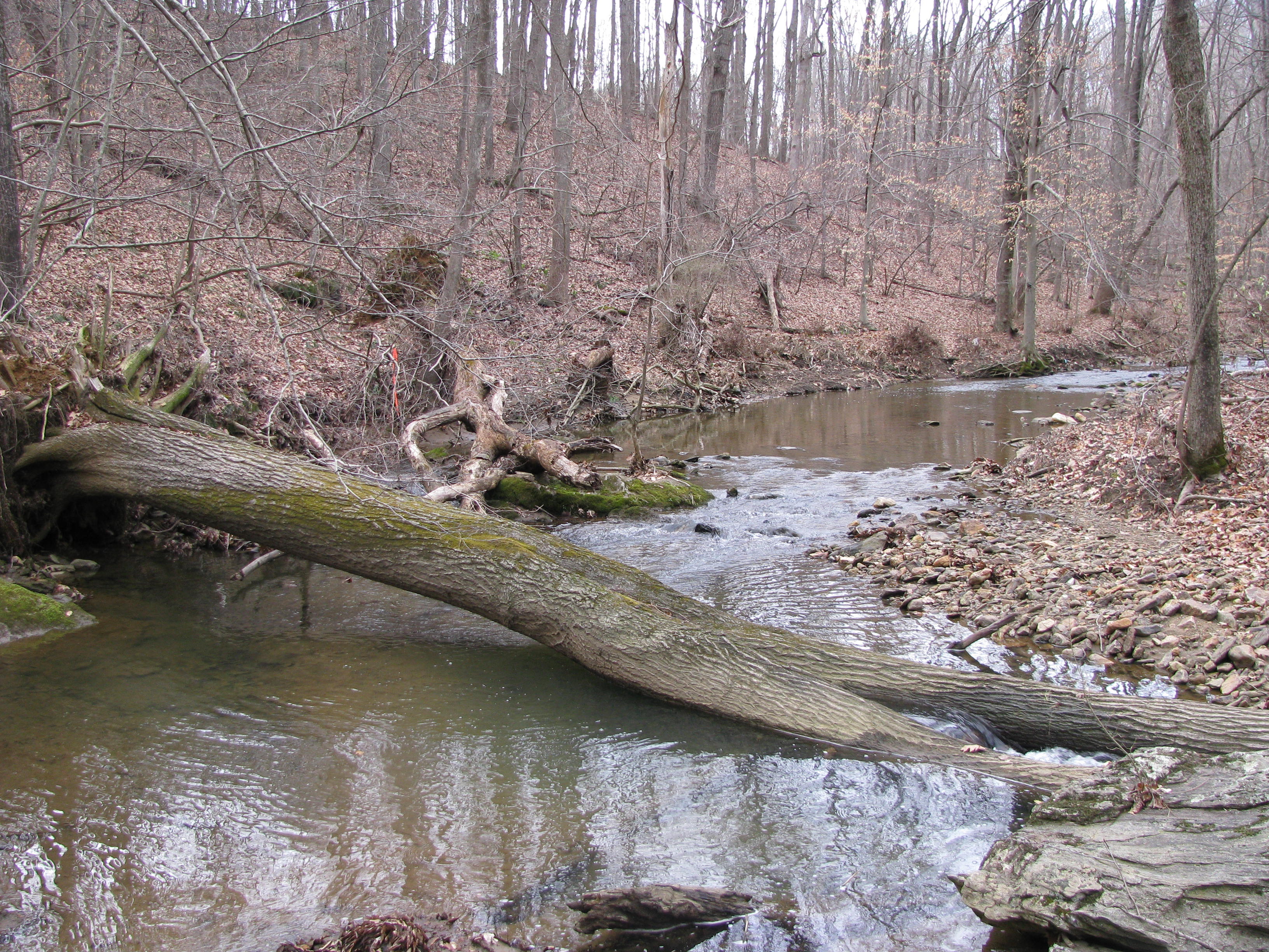 Field photo showing stream conditions at site JONE-315-S-2012-1