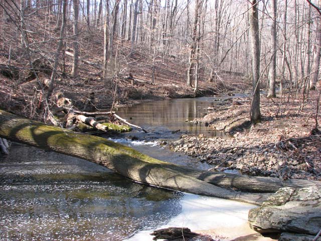 Field photo showing stream conditions at site JONE-315-S-2013-1