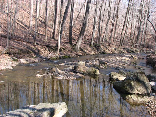Field photo showing stream conditions at site JONE-315-S-2013-2