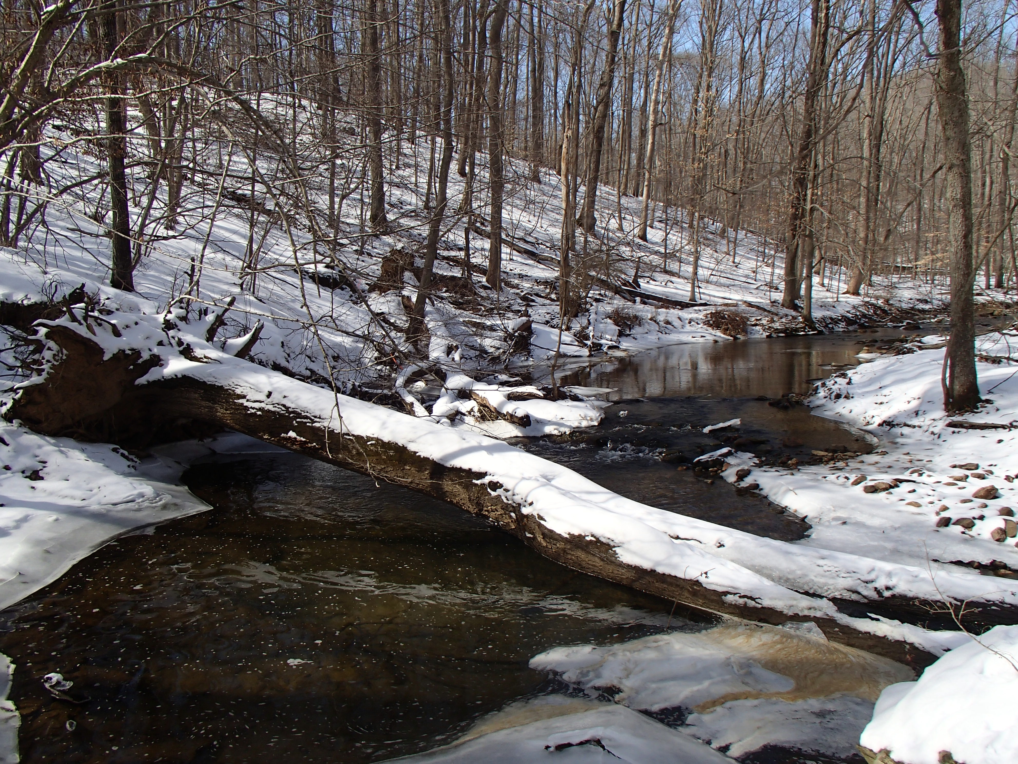 Field photo showing stream conditions at site JONE-315-S-2014-1