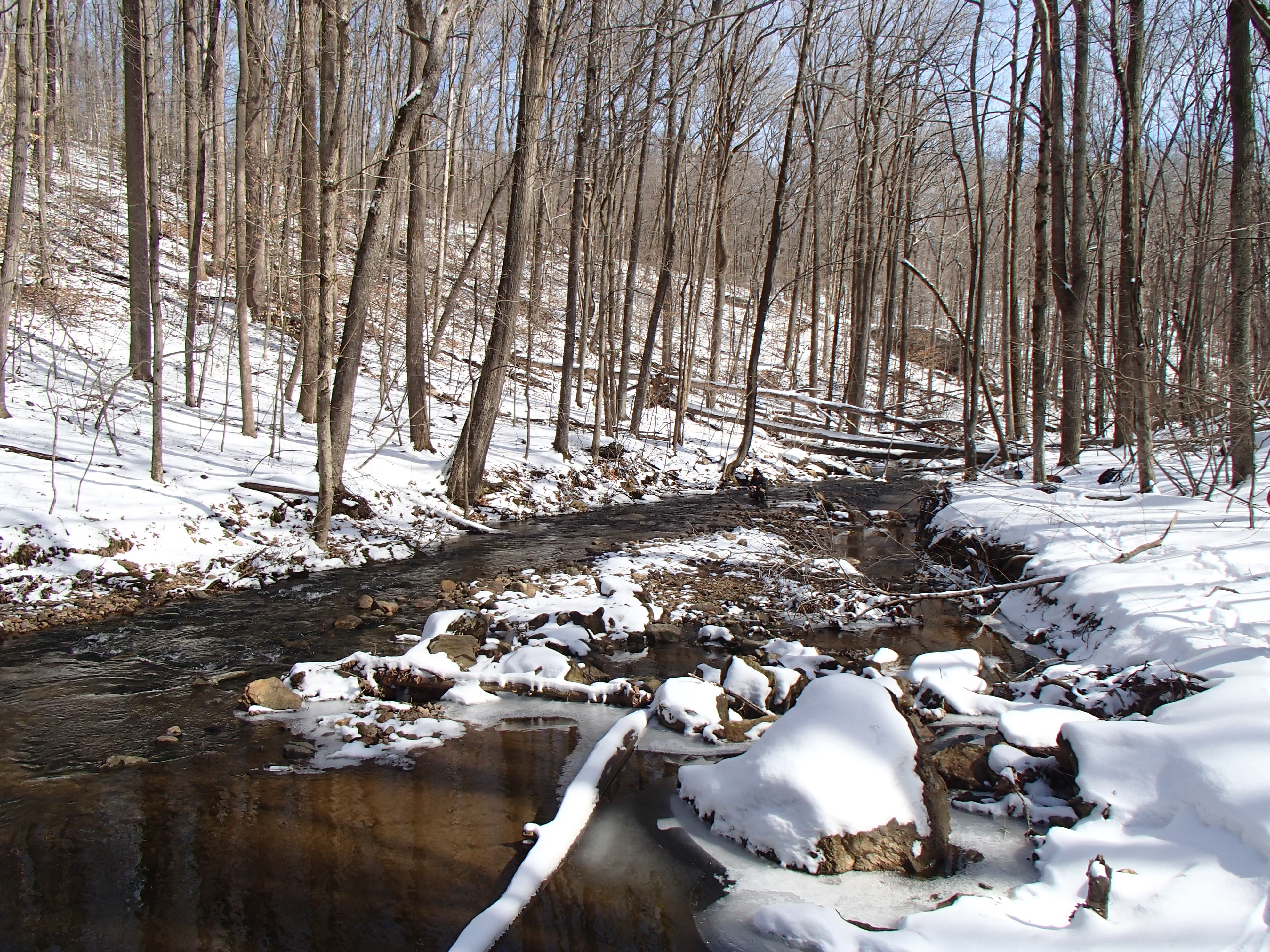 Field photo showing stream conditions at site JONE-315-S-2014-2
