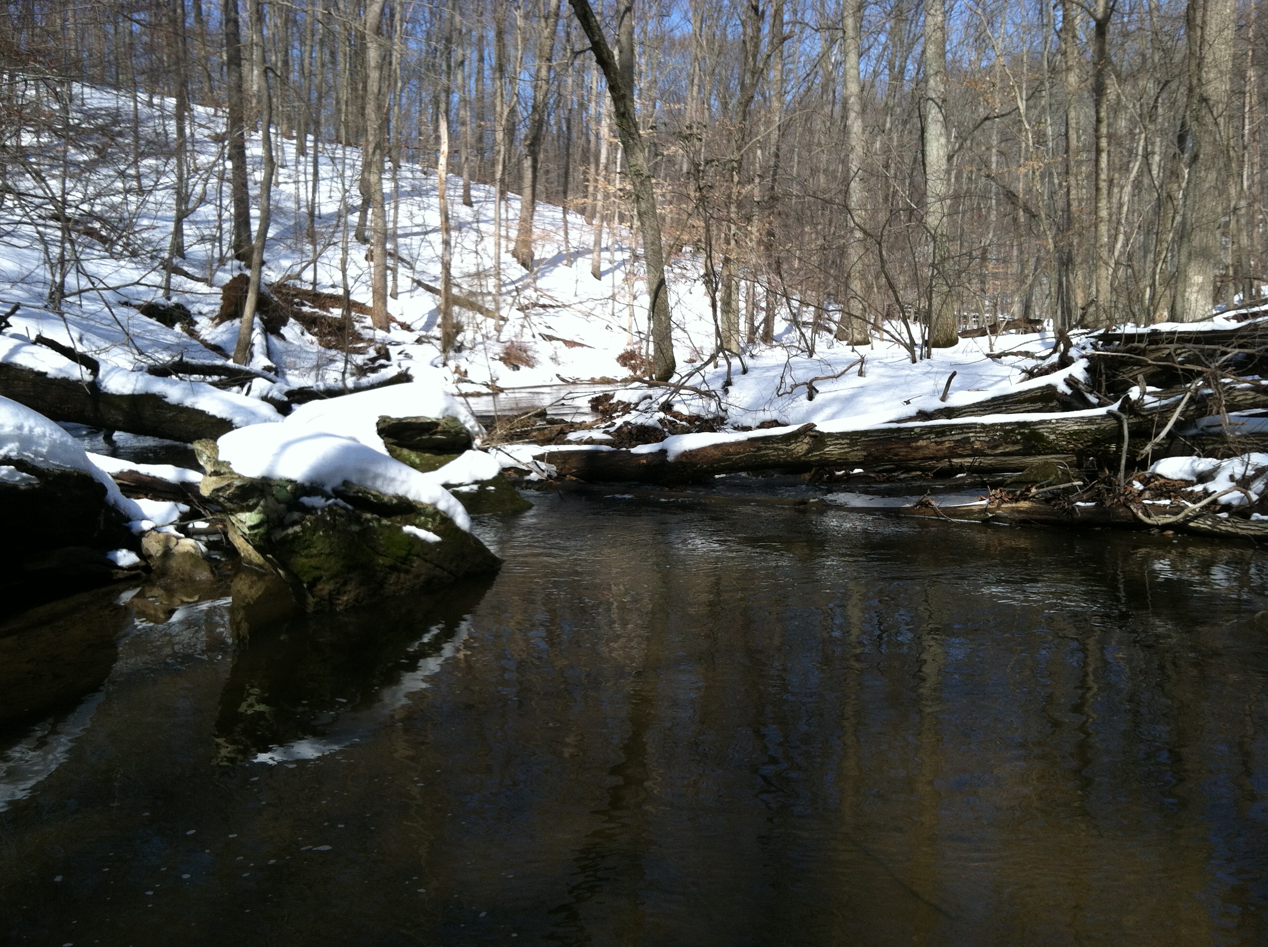 Field photo showing stream conditions at site JONE-315-S-2015-1