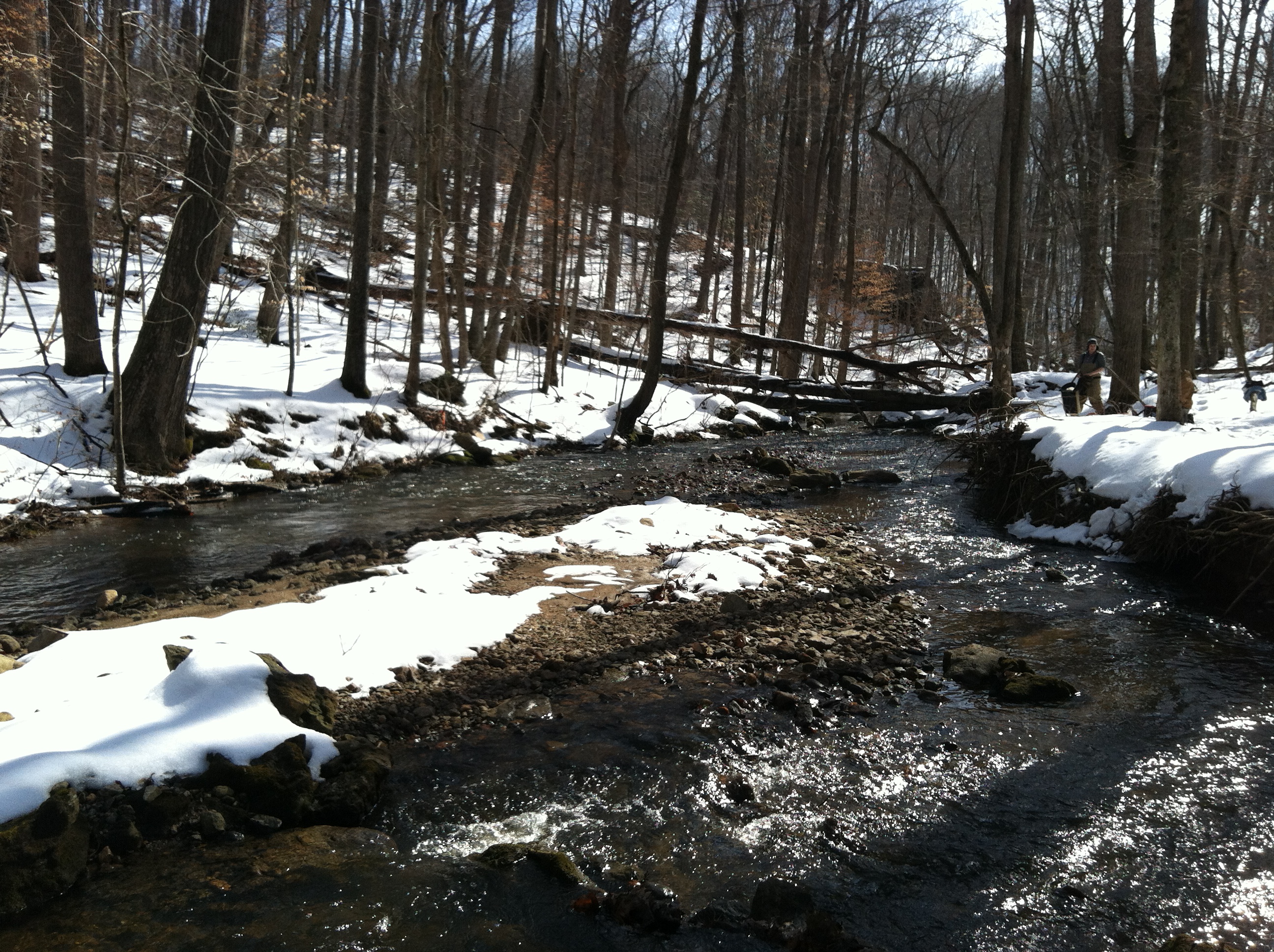 Field photo showing stream conditions at site JONE-315-S-2015-2
