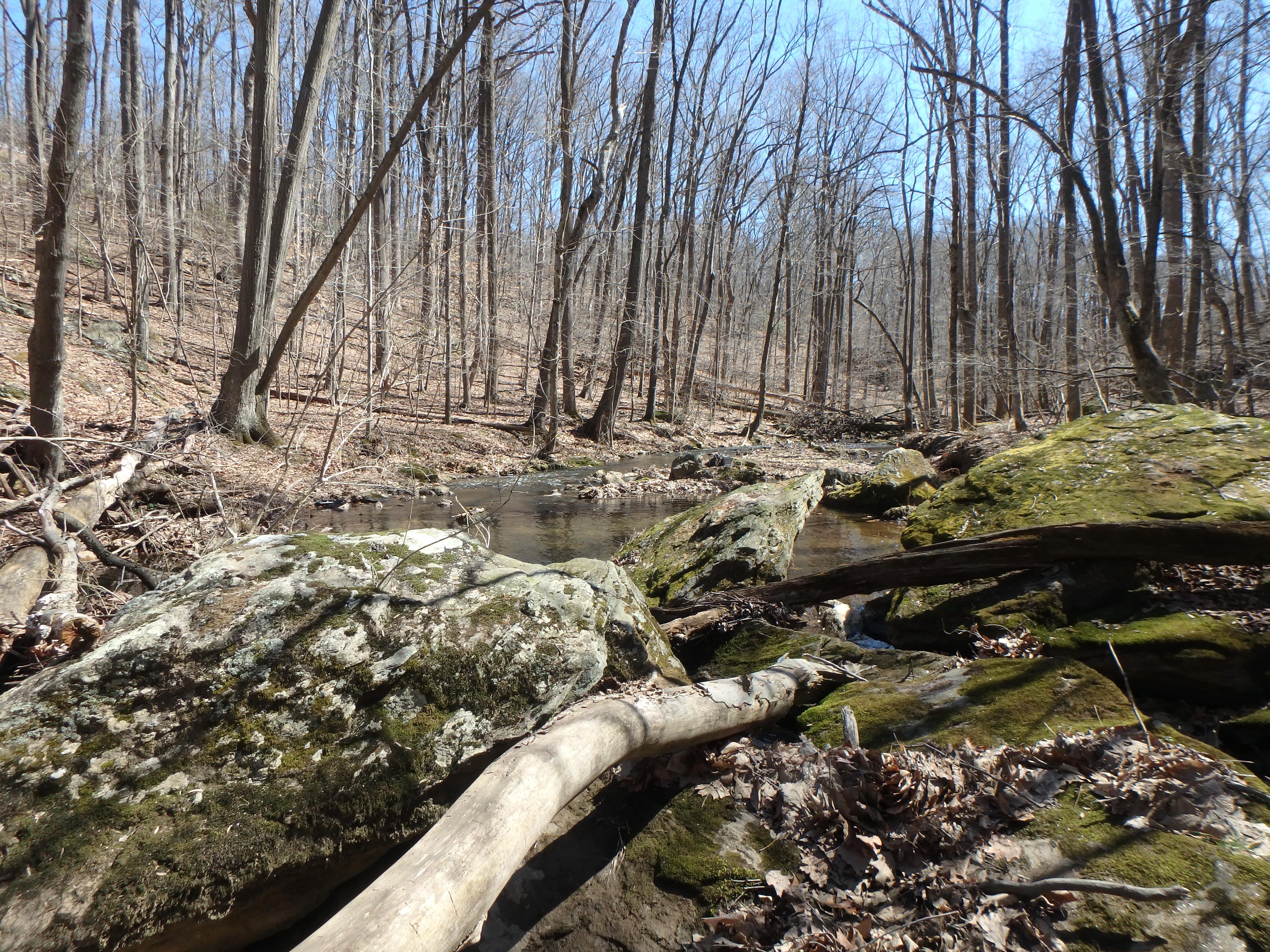 Field photo showing stream conditions at site JONE-315-S-2017-ApproximateMidpointLookingDownstream