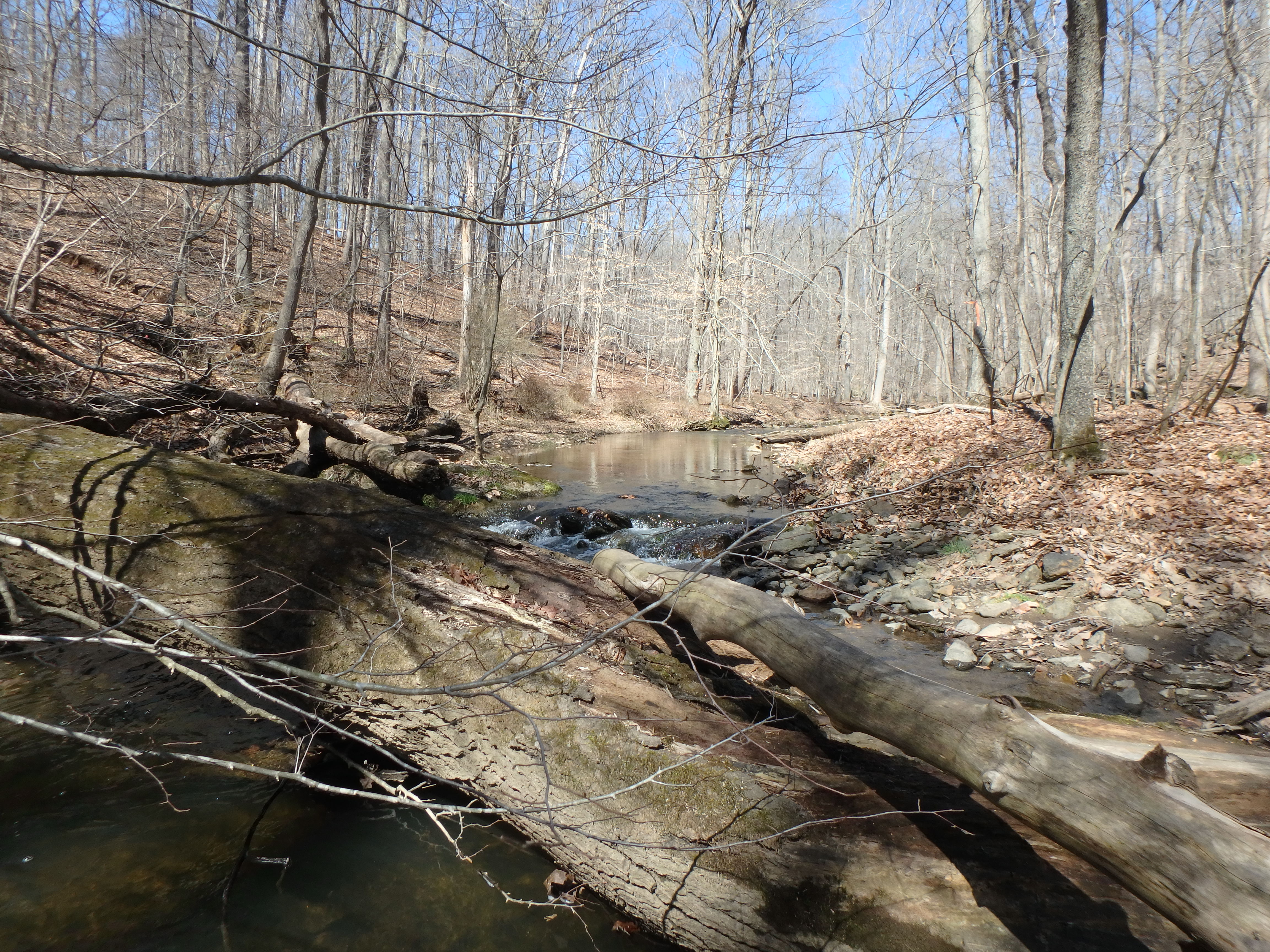 Field photo showing stream conditions at site JONE-315-S-2017-ApproximateMidpointLookingUpstream